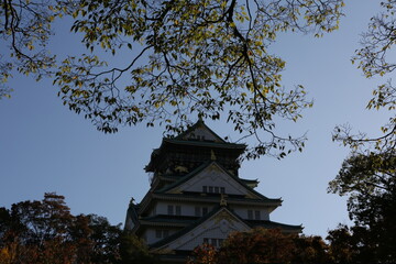 Naklejka premium Osaka Castle in Osaka,Kansai,Japan in Fall or Autumn season. High quality photo