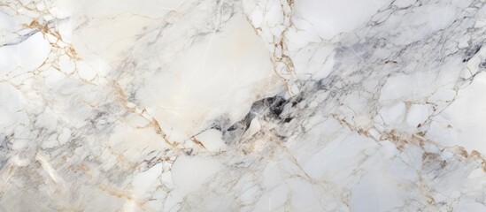 This close-up view showcases the intricate details and patterns of a high-resolution Italian marble slab. The surface texture resembles limestone or grunge stone,