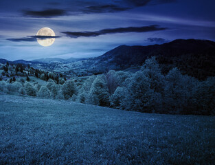 mountainous carpathian countryside landscape at night. forest behind the grassy meadow in full moon light