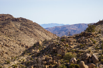 Scenic view near Desert Queen Mine in Joshua Tree National Park, California