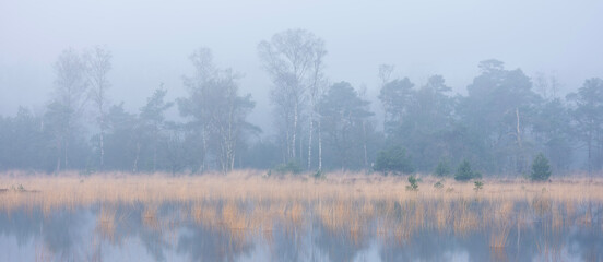 tranquil scene of flooded leersumseveld in dutch province of utrecht in misty morning light near utrecht