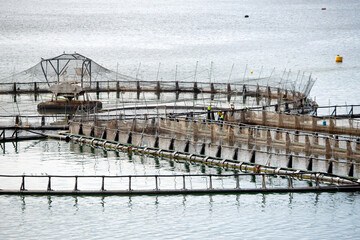 View of salmon fish farming pens