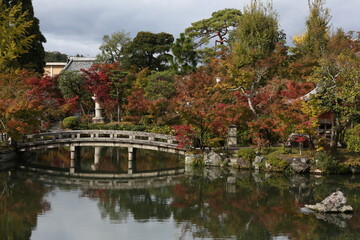Fototapeta na wymiar Japan autumn image. Beautiful Japanese garden with a pond and red leaves. Daigo temple in Kyoto. . High quality photo