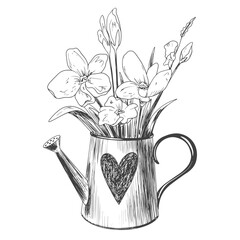 Hand drawn watering can with flowers isolated on white background. Sketch style spring vector illustration. Mother's day illustration for postcard. Bouquet in garden watering can © Morena