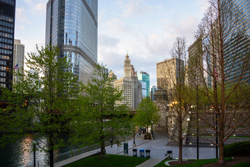 Riverbank park in chicago downtown at sunset in spring. High rise buildings are in background.
