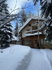 Baverian Style Cabin with a snowy pathway