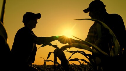Handshake of business partners in farmers field, silhouette. Owner farm enters into contract...