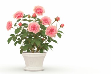 Fototapeta premium Graceful rose plant showcased in a vase, isolated on white
