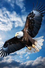 A majestic eagle soaring high in clear blue skies against fluffy white clouds on a sky-blue gradient background to the right of center and scanning towards the center with keen eyes