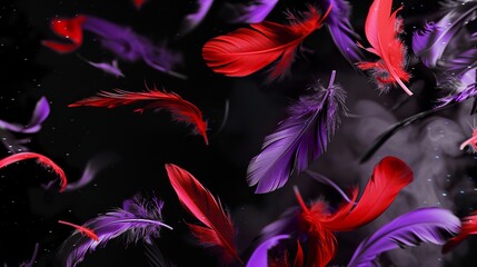 Black background with purple and red feathers falling in soft scene. Feathers falling on a dark background in a romantic style.