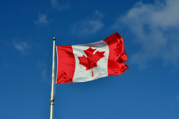 Naklejka na ściany i meble canadian flag flying on a pole