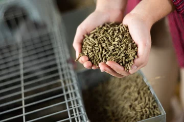 Foto auf Acrylglas Heringsdorf, Deutschland Worker showing feed for animal in her hands