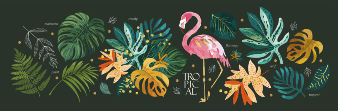 Tropical Leaves, Plants And Flamingo. Vector Modern Floral Illustrations Of Tropic Print, Palm Leaf, Monstera, Fern,  Bouquet  For Greeting Card, Background, Label Or Banner