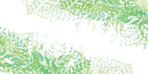 Obraz premium 新緑 葉 風景 背景