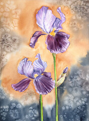 Hand painted watercolor irises. Iris painting. Watercolor spring flowers.