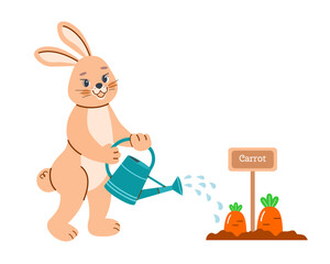 Cute bunny gardener waters carrot beds from garden watering can. Vector baby illustration on white isolated background. Harvest, Easter, spring concept.