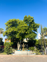 jardin de tlaquepaque jalisco