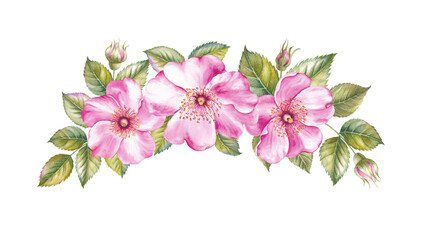  Watercolor illustration sakura. Spring flowers on white background 