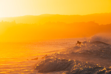 People surfing in the sea during sunset. Vibrant orange colors with copy space