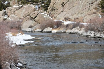 Fototapeta premium River in Colorado Winter