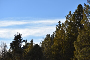 Fototapeta premium Colorado Rocky Mountain Landscapes