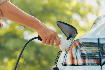 Closeup man recharge electric car's battery from charging station in outdoor green city park in...