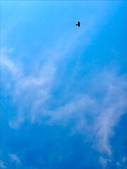 sky and clouds