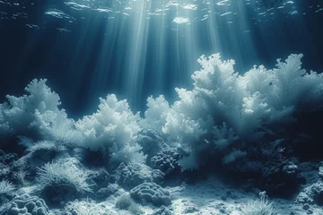 Foto auf Acrylglas A monochrome underwater scene transforming into a vibrant coral reef, showcasing the diversity of marine life. Concept of aquatic splendor. Generative Ai. © Sebastian