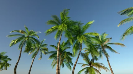 Fotobehang Several tall palm trees under a clear blue sky possibly in a tropical or subtropical climate © woret