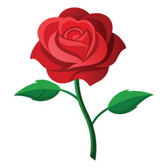 Fototapeta premium Vector a rose with green leaves with flat illustration style