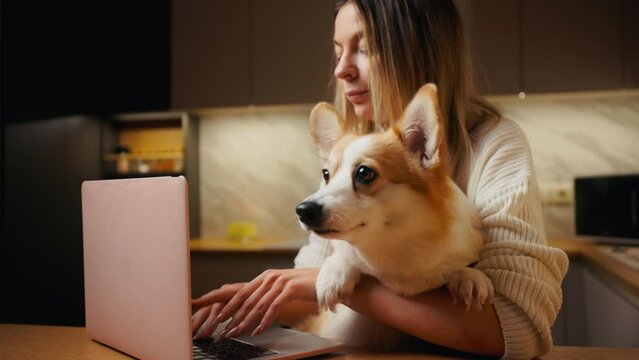 Corgi work buddy: Woman holds and efficiently uses a laptop in the comfort of home