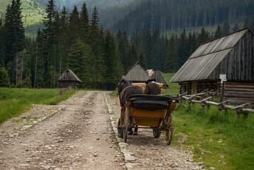 horse carriage in the mountains