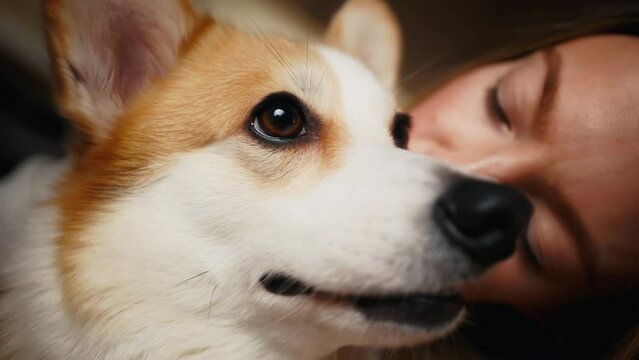 Corgi cuddles: Woman holds and expresses love for her beautiful canine companion