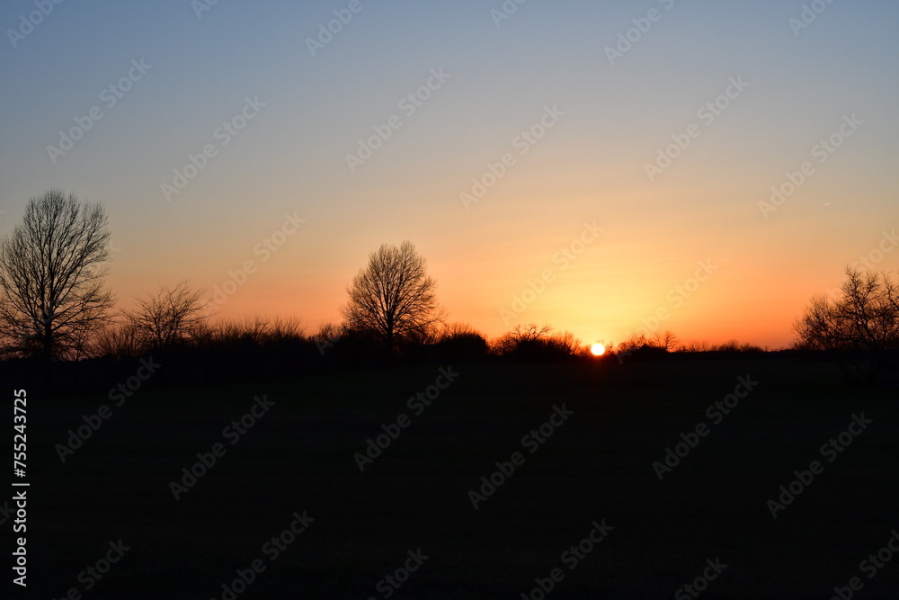 Wall mural sunset