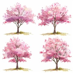 Obraz premium KSSet of watercolor cherry trees on white background.