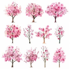 Fototapeta premium KSSet of watercolor cherry trees on white background.