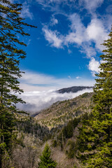 great smoky mountain park