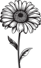 Radiant Petals Gerbera Daisy Logo Design Floral Elegance Gerbera Daisy Vector Emblem