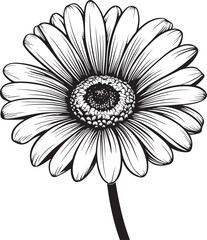 Daisy Dreams Gerbera Daisy Logo in Vector Elegant Blossom Gerbera Daisy Vector Emblem