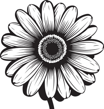 Botanical Charm Gerbera Daisy Icon Design Petals Perfection Gerbera Daisy Logo in Vector