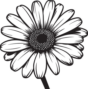 Bloom Burst Gerbera Daisy Logo Design Fresh Floral Gerbera Daisy Vector Icon