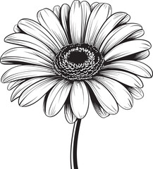 Vivid Bloom Gerbera Daisy Vector Emblem Natures Charm Gerbera Daisy Icon Design
