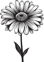 Color Cascade Gerbera Daisy Vector Icon Blossom Brilliance Gerbera Daisy Logo in Vector