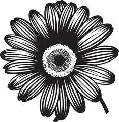 Elegant Blossom Gerbera Daisy Vector Emblem Radiant Beauty Gerbera Daisy Icon Design