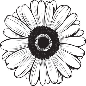 Sunlit Serenade Gerbera Daisy Icon Design Daisy Delight Gerbera Daisy Logo in Vector