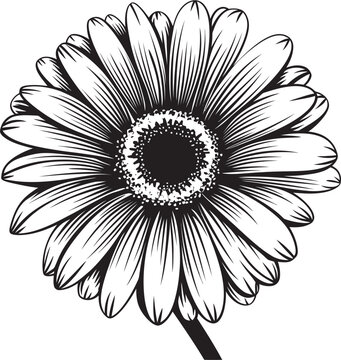 Radiant Beauty Gerbera Daisy Icon Design Floral Majesty Gerbera Daisy Logo in Vector