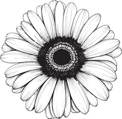 Colorful Charm Gerbera Daisy Logo Design Botanical Beauty Gerbera Daisy Vector Emblem