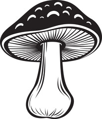 Fungi Fusion Mushroom Symbol Mycelium Melody Vector Mushroom Logo Design