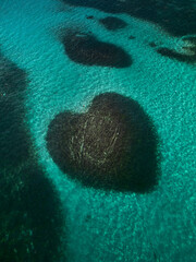 Aerial Dominican Republic Barrier Reef Coral Caribbean Sea Atlantic ocean Heart Coral Tropical travel tourism holiday outdoor Natural Coral Reef sunshine sea