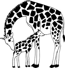 illustration of giraffe